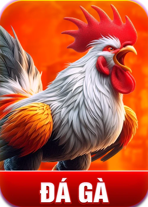 đá gà gk88
